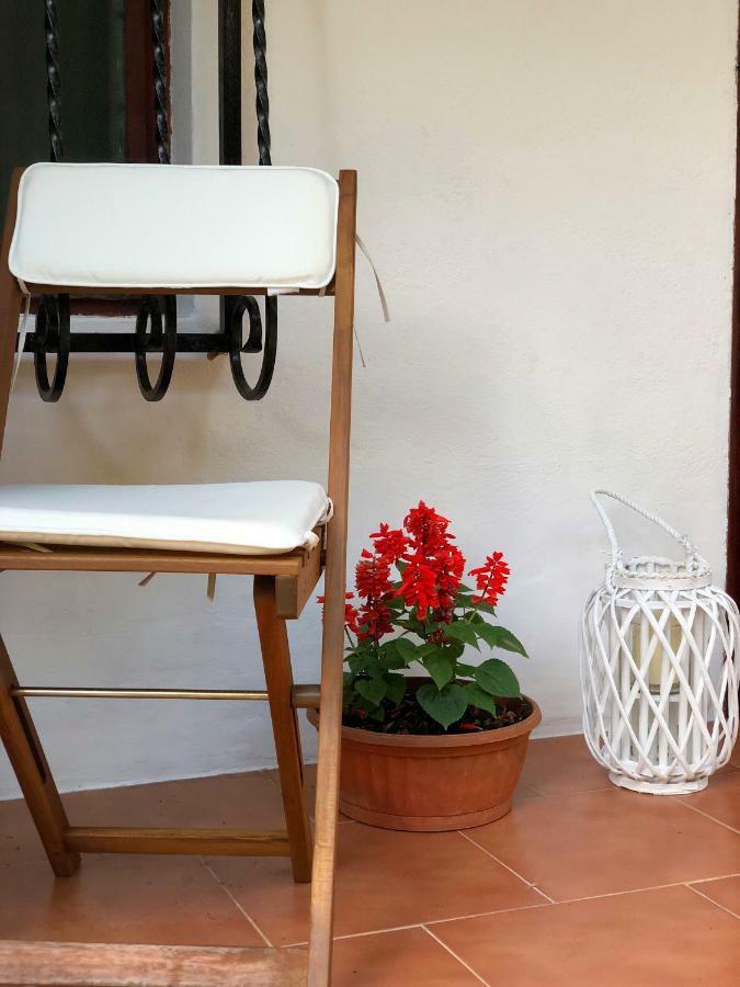 Apartment Nicolas Kotor Zewnętrze zdjęcie